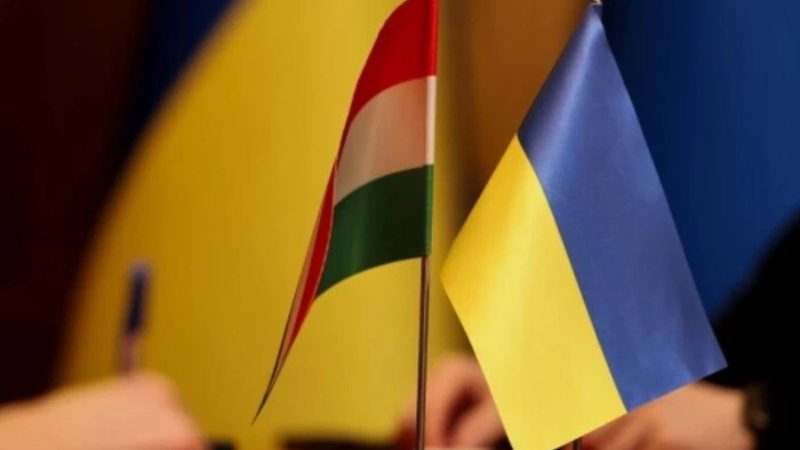 Угорські організації Закарпаття підтримали законопроєкт про освіту та закликали Раду до ухвалення